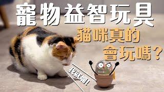 【開箱】寵物益智玩具！貓咪們真的會玩嗎！？｜ 吉妮普莉Cats Life