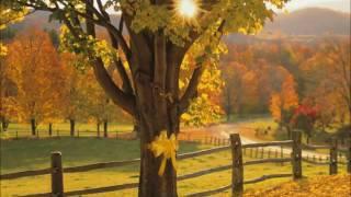 Tie a yellow ribbon 'round the ole oak tree Lyrics Fixed