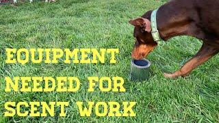 Equipment Needed to Train AKC Scent Work or NACSW Nose Work.