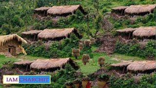 Natural Beauty of Nepali Mountain Vllage || poor but very happy people || TheVillageNepal