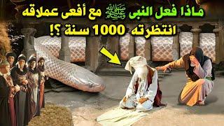 ماذا فعل النبي ﷺ مع أفعى انتظرته 1000سنة ؟ وكيف مات النبي ﷺ ؟ وكيف كان غسله ؟ وماذا طلب من ملك الموت