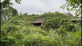 Cleaning the HOUSE is MORE than 100 YEARS old, Overgrown wild Trees cover the whole house | CLEAN UP