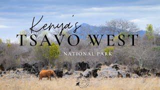 Tsavo West National Park, Kenya's largest national park!