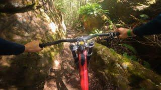 Zen Garden - Maydena Bike Park