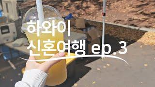 하와이 신혼여행 ep.3 6박8일 총 1600만원, 미친물가 하와이, 하얏트리젠시 수영장, 힐튼빌리지 카하나모쿠비치, 알라모아나쇼핑센터, 다이아몬드헤드