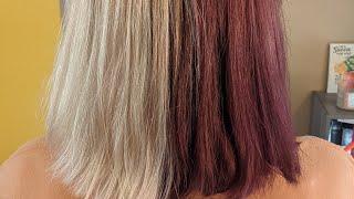 Fall Hair Transformation | Burgundy and Blonde Split Dye