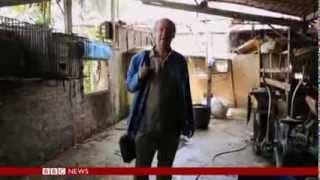 Our World Coffee's Cruel Secret - Kopi Luwak - civet cats - Indonesia