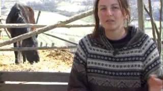 wwoof : lavoro in fattoria biologica