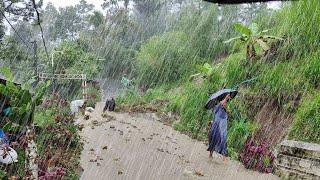 Heavy rain and thunder hits villages 3 hours, walking in heavy rain, rain and thunder for sleeping