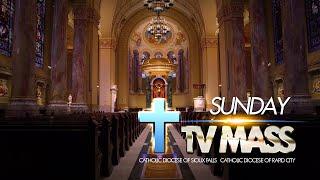 Sunday TV Mass - November 17, 2024