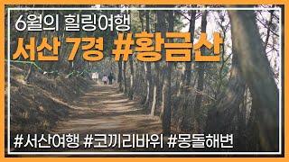 산과 바다가 어우러진 서산 #황금산으로 랜선여행⁉️ 