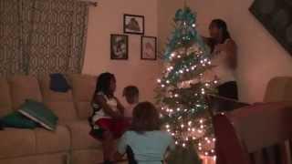 Vlogmas 2014 |LJ Busted!! and Decorating the Family Tree| Family Vlogs