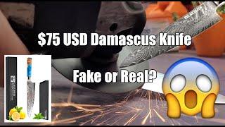 $75 USD Damascus Knife - Fake or Real Experiment