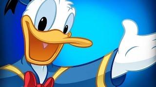 DONALD DUCK 3 HOURS Cartoon Compilation / BEST OF HD