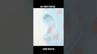 4번 러블리 하트비숑 #애견 #애견의류