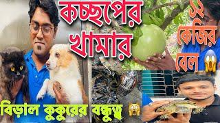 Turtle Farm In Bangladesh | Dog Farm in BD | Cat Farm In BD | Persian Cat Farm |Turtle Breeding Farm