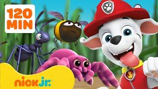 Psi Patrol | PAW Patrol: Ratowanie i przygody z robakami!  2 godziny | Nick Jr. | Nick Jr. Polska