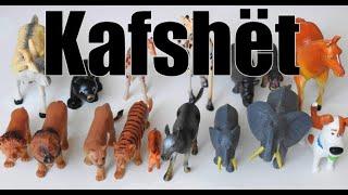 Kafshët në shqip.  Tingujt e kafshëve.  Video edukuese për fëmijë.  Abc shqip   Animals in albanian