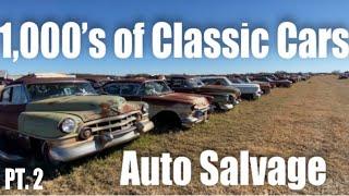 CLASSIC AND ANTIQUE CARS - BROWNE AUTO SALVAGE PART 2