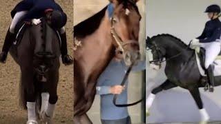 Famous horses Show jumping Racing and Dressage TikTok Combination