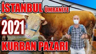 ''İSTANBUL'' KURBAN PAZARI !!! | İSTANBUL'DA FİYATLAR NASIL | BEKLENEN VİDEO GELDİ