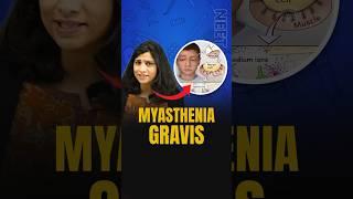 Myasthenia Gravis | NEET Concept #neetbiology #neetbiologypreparation #neet2024