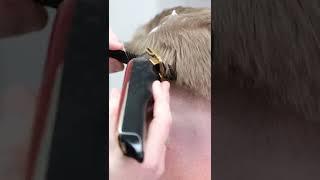 ️ This HAIR HACK | Will Change How You Cut | Barber Tutorial