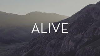 ALIVE | Freedom in Nature