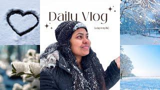 ഫിൻലന്റിൽ  മഞ്ഞുപെയ്യുന്നൊരു പ്രഭാതം | snowy morning in Finland #mallusinfinland #dailyvlog #snow