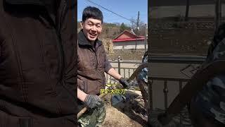 鑫鑫在家乡