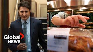 Trudeau announces 2-month GST cuts to food, holiday items, beer and more | FULL