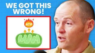 The REAL Role of ATP (It’s NOT What You Think) | Dr. Stephen Hussey