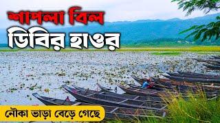 dibir haor sylhet | ডিবির হাওর সিলেট | সিলেট ডিবির হাওর | Shapla Bil sylhet | শাপলা বিল সিলেট | Ohab