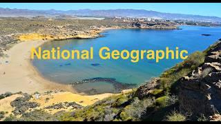 Snorkeling in a beautiful place in Spain, protected area of ​​marine species 4K ultra HD.