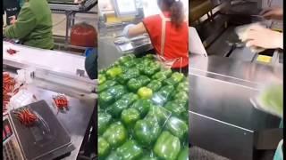 Vegetable and fruit packing machine