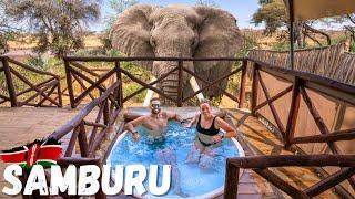 Elephants By Our Tent in Samburu / Luxury Kenyan Safari