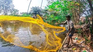 Amazing Cast Net Fishing In Roadside Lake | A Hard Day For Fisherman