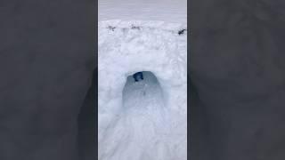 Snow Godzilla