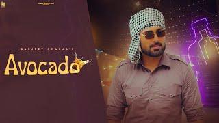 Avocado (Official Video Song ) Daljeet Chahal | Kabal Saroopwali | Kv Mohali | Punjabi Song 2024