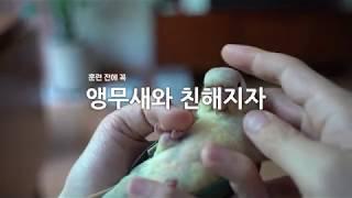 [앵무새 훈련] 시작- 교감부터 나누자 친해지는 것이 우선.