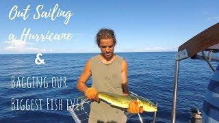 Out Sailing a Hurricane and Bagging our Biggest Fish Yet! [EP 31] | Sailing Millennial Falcon