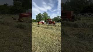 Little Square Baling 1st cut hay #allischalmers #newholland