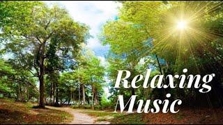 Beautiful Relaxation Music, Calming your Mind, Deep Sleep, Study Music