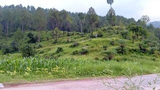 Haripur The most beautiful places