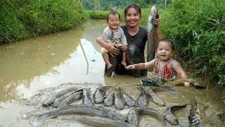 How to catch giant fish ponds after a rainy day and sell them at the market with your children