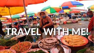 Craziest Wild Bush Meat Market Tour in Laos (SOLO Covid Travel SE Asia 2021)