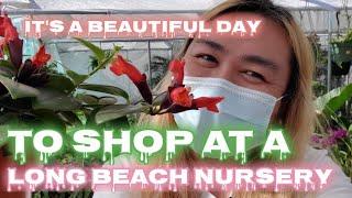 Plant Shopping! | Long Beach Nursery Tour