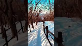 Walking on snow | Muju South Korea By Jaz Walker #youtubeshorts #shorts