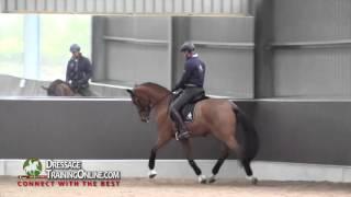 Dressage training with Garreth Hughes, How to improve the trot