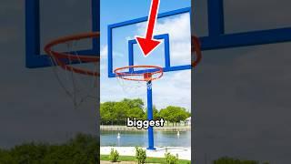 This Basketball Hoop Is 30 Feet Tall… #shorts